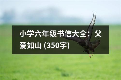 小學(xué)六年級(jí)書(shū)信大全：父愛(ài)如山 (350字)