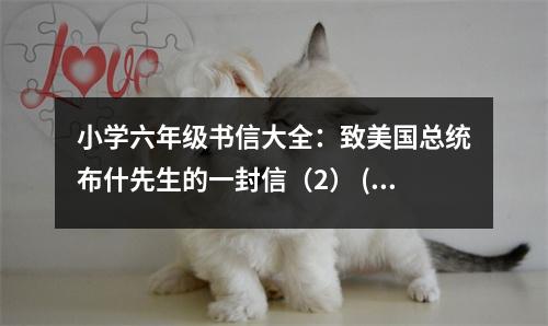 小學(xué)六年級(jí)書信大全：致美國總統(tǒng)布什先生的一封信（2） (500字)