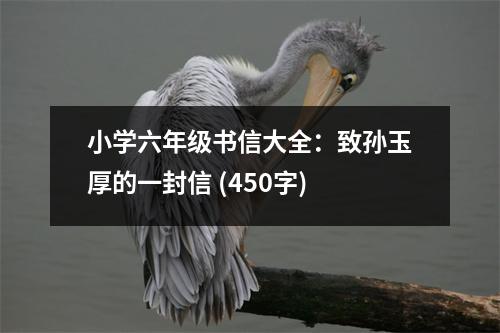 小學(xué)六年級(jí)書(shū)信大全：致孫玉厚的一封信 (450字)