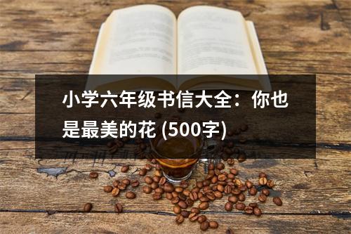 小學(xué)六年級書信大全：你也是最美的花 (500字)
