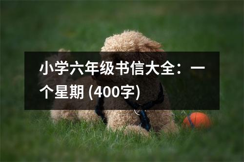 小學(xué)六年級書信大全：一個星期 (400字)