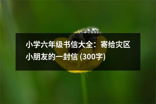 小學(xué)六年級書信大全：寄給災(zāi)區(qū)小朋友的一封信 (300字)