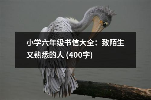 小學(xué)六年級(jí)書信大全：致陌生又熟悉的人 (400字)