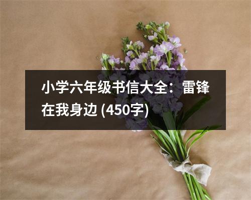 小學(xué)六年級(jí)書信大全：雷鋒在我身邊 (450字)