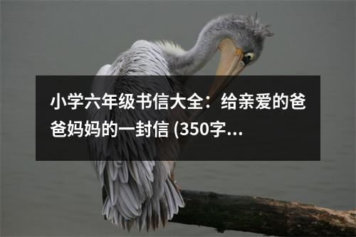 小學(xué)六年級書信大全：給親愛的爸爸媽媽的一封信 (350字)