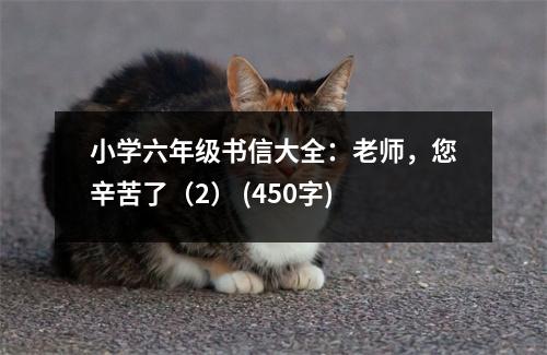 小學(xué)六年級書信大全：老師，您辛苦了（2） (450字)
