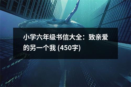 小學(xué)六年級(jí)書(shū)信大全：致親愛(ài)的另一個(gè)我 (450字)