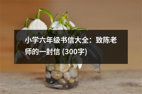 小學六年級書信大全：致陳老師的一封信 (300字)