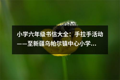 小學六年級書信大全：手拉手活動——至新疆烏帕爾鎮(zhèn)中心小學的一封 (500字)