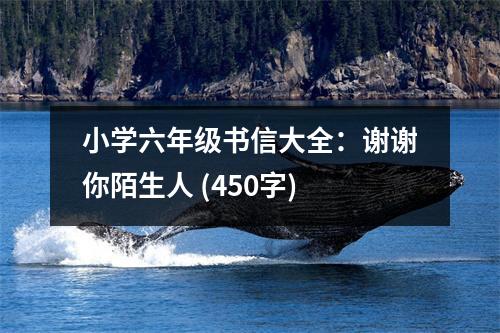 小學(xué)六年級(jí)書信大全：謝謝你陌生人 (450字)