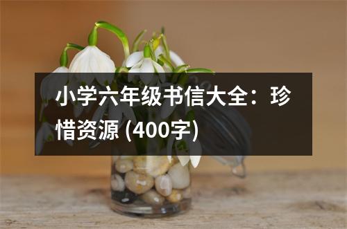 小學(xué)六年級(jí)書信大全：珍惜資源 (400字)