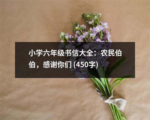 小學(xué)六年級(jí)書信大全：農(nóng)民伯伯，感謝你們 (450字)