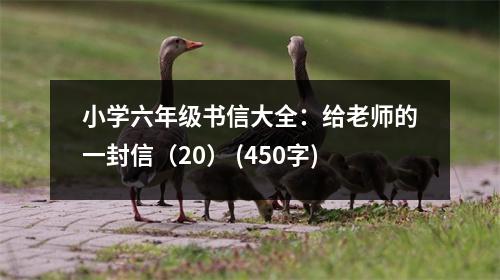 小學(xué)六年級(jí)書信大全：給老師的一封信（20） (450字)