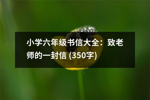 小學(xué)六年級(jí)書(shū)信大全：致老師的一封信 (350字)