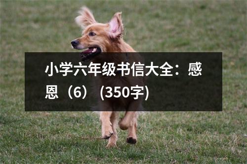 小學(xué)六年級書信大全：感恩（6） (350字)