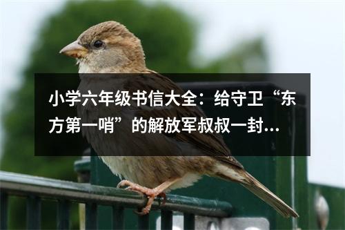 小學(xué)六年級書信大全：給守衛(wèi)“東方第一哨”的解放軍叔叔一封信 (400字)
