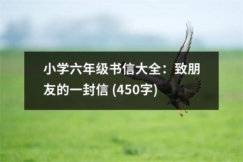 小學(xué)六年級書信大全：致朋友的一封信 (450字)