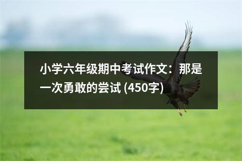 小學(xué)六年級(jí)期中考試作文：那是一次勇敢的嘗試 (450字)