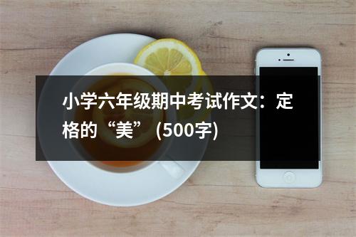 小學(xué)六年級(jí)期中考試作文：定格的“美” (500字)