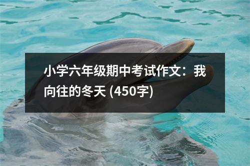 小學(xué)六年級(jí)期中考試作文：我向往的冬天 (450字)