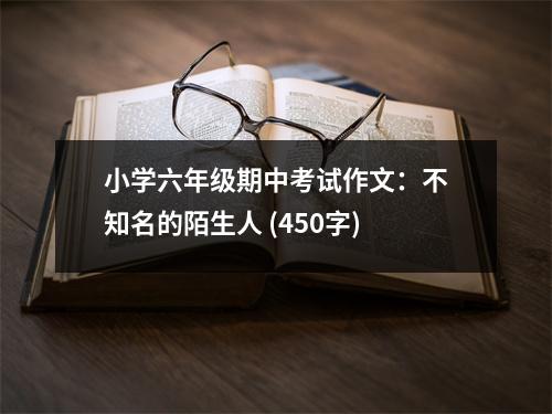 小學(xué)六年級(jí)期中考試作文：不知名的陌生人 (450字)