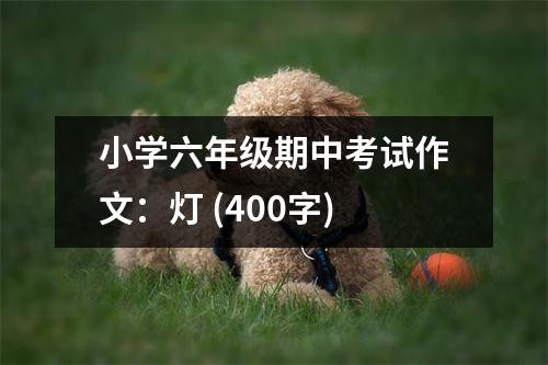 小學(xué)六年級(jí)期中考試作文：燈 (400字)