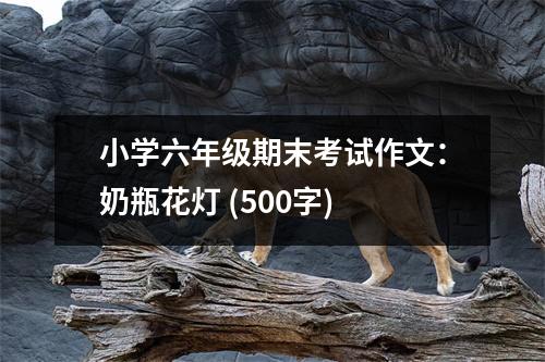 小學(xué)六年級(jí)期末考試作文：奶瓶花燈 (500字)