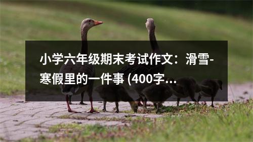 小學六年級期末考試作文：滑雪-寒假里的一件事 (400字)