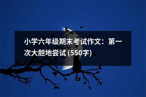 小學(xué)六年級(jí)期末考試作文：第一次大膽地嘗試 (550字)