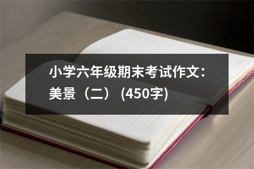 小學(xué)六年級(jí)期末考試作文：美景（二） (450字)