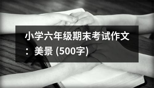 小學(xué)六年級(jí)期末考試作文：美景 (500字)