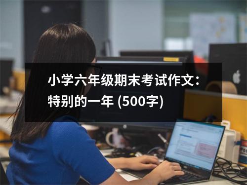 小學(xué)六年級期末考試作文：特別的一年 (500字)