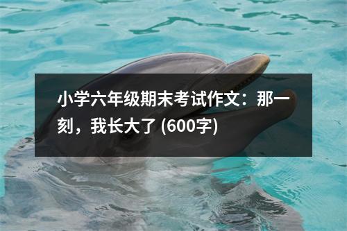 小學(xué)六年級(jí)期末考試作文：那一刻，我長(zhǎng)大了 (600字)