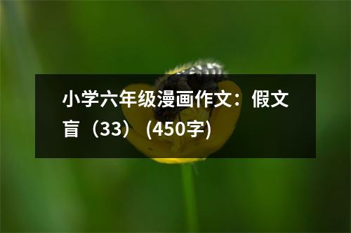 小學(xué)六年級漫畫作文：假文盲（33） (450字)