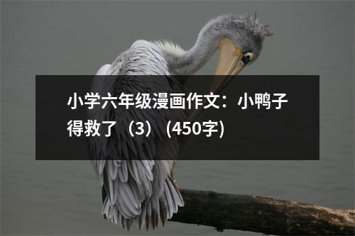 小學(xué)六年級(jí)漫畫作文：小鴨子得救了（3） (450字)
