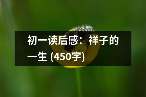 初一讀后感：祥子的一生 (450字)