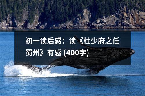 初一讀后感：讀《杜少府之任蜀州》有感 (400字)