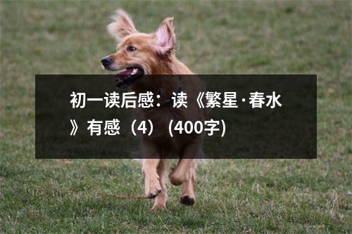 初一讀后感：讀《繁星·春水》有感（4） (400字)