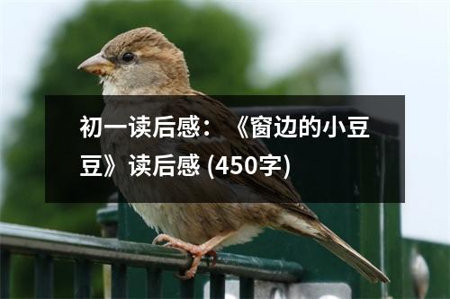 初一讀后感：《窗邊的小豆豆》讀后感 (450字)