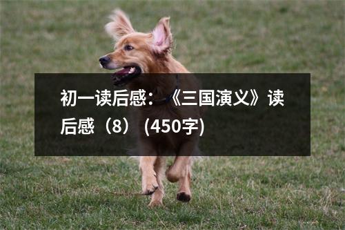 初一讀后感：《三國(guó)演義》讀后感（8） (450字)