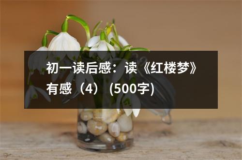 初一讀后感：讀《紅樓夢》有感（4） (500字)