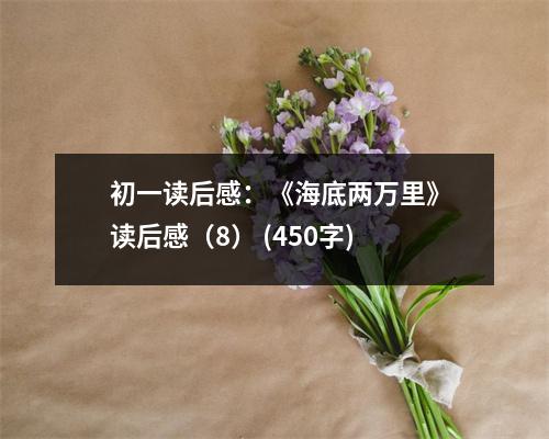 初一讀后感：《海底兩萬里》讀后感（8） (450字)