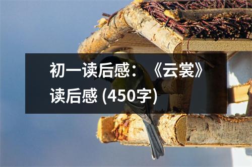 初一讀后感：《云裳》讀后感 (450字)