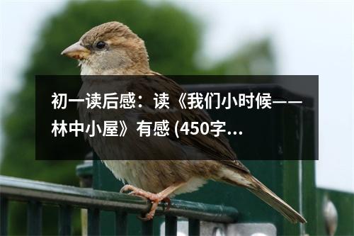 初一讀后感：讀《我們小時候——林中小屋》有感 (450字)
