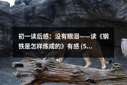 初一讀后感：沒(méi)有眼淚——讀《鋼鐵是怎樣煉成的》有感 (550字)