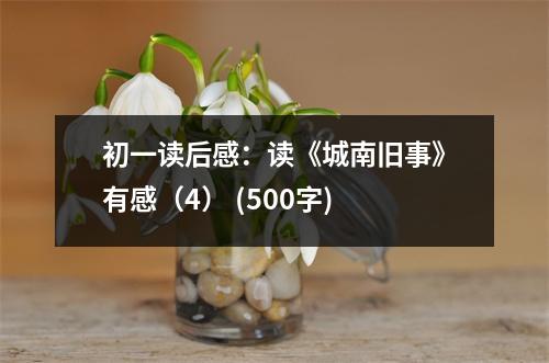 初一讀后感：讀《城南舊事》有感（4） (500字)
