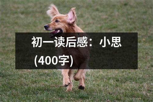 初一讀后感：小思 (400字)