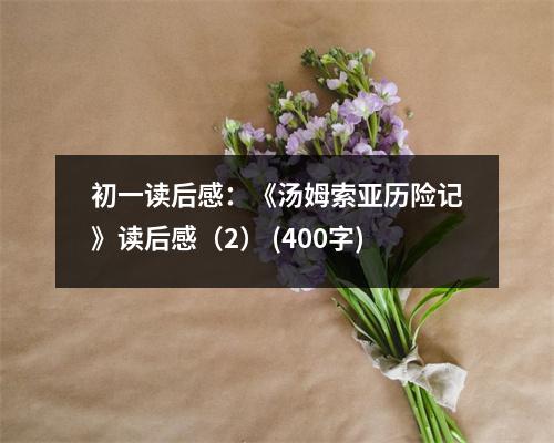 初一讀后感：《湯姆索亞歷險(xiǎn)記》讀后感（2） (400字)