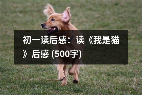 初一讀后感：讀《我是貓》后感 (500字)