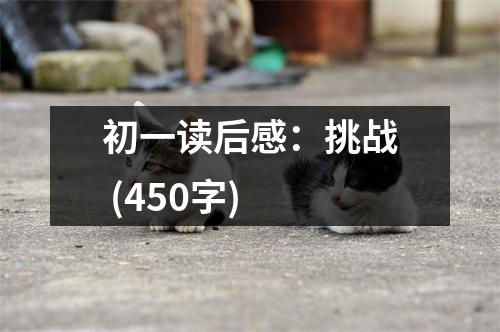 初一讀后感：挑戰(zhàn) (450字)